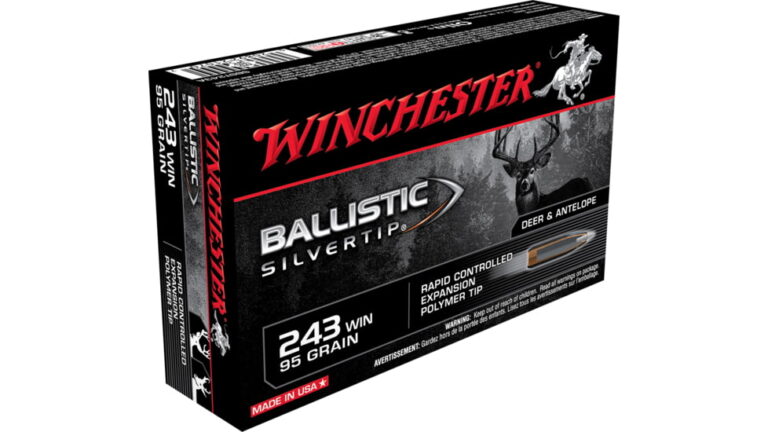 WINCHESTER-BALLISTIC-SILVERTIP-95-500-Rds